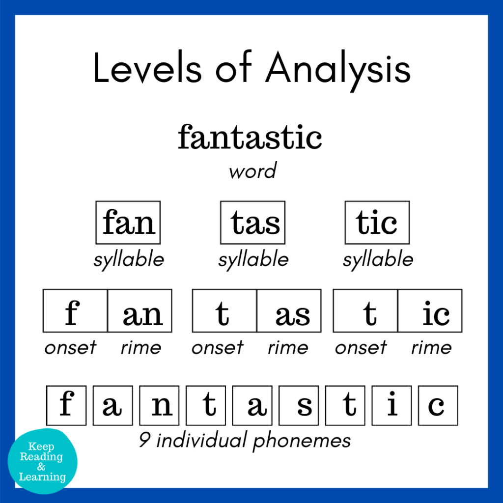 Phonological Awareness or Phonemic Awareness?