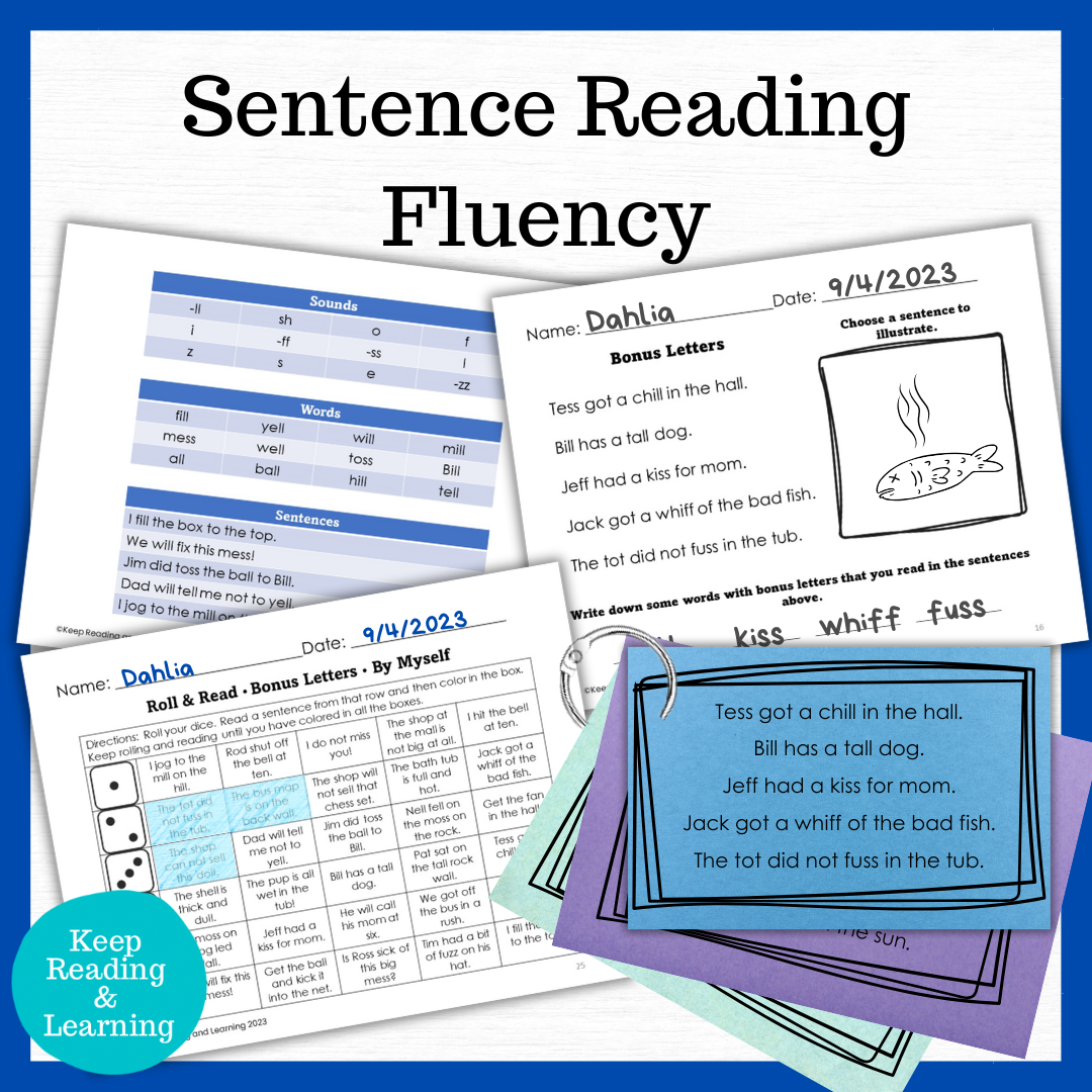 4 Sentence Fluency Homework for Science of Reading Structured Literacy